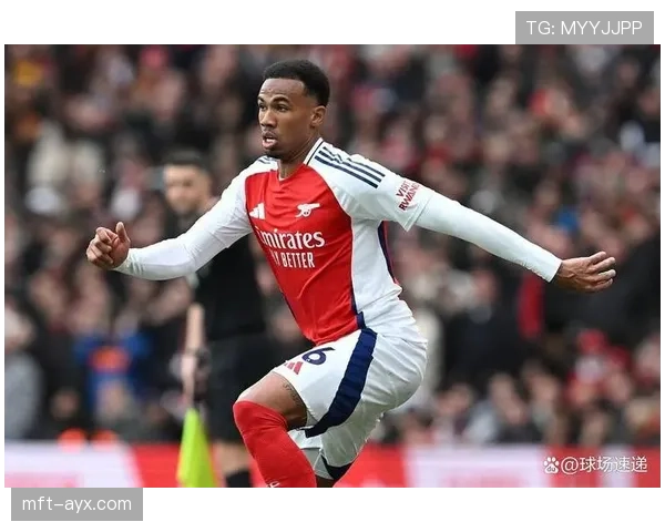 富勒姆深陷伤病潮,赛季前景蒙上阴影 富勒姆深陷伤病潮,赛季前景蒙上阴影