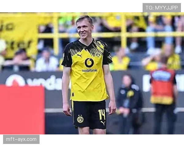 布伦特福德球迷抗议球队近期表现与管理层决策