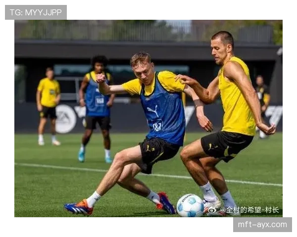 德甲夏季转会趋势